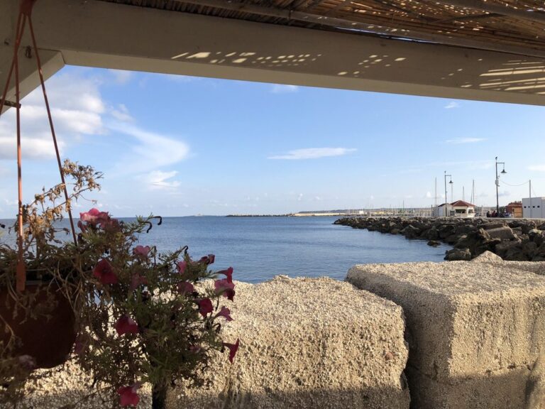 il baglietto noto 768x576