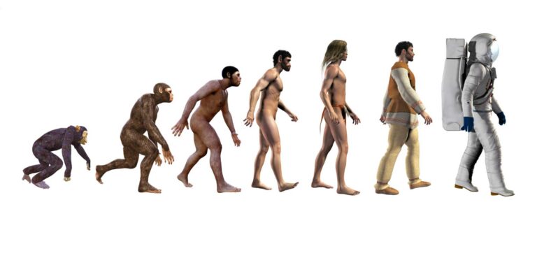 evoluomo 1900 m 768x369