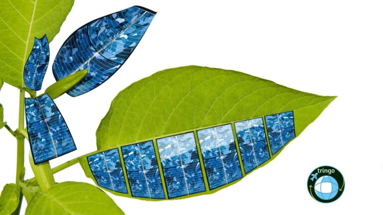 cambiamento 1920x1080 768x432