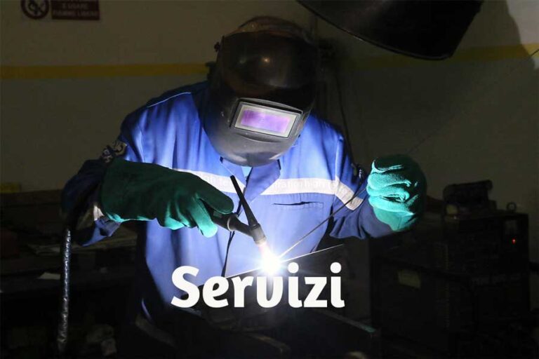 servizi1 768x512