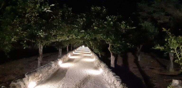 20191010 211136 largejpg 1 768x374