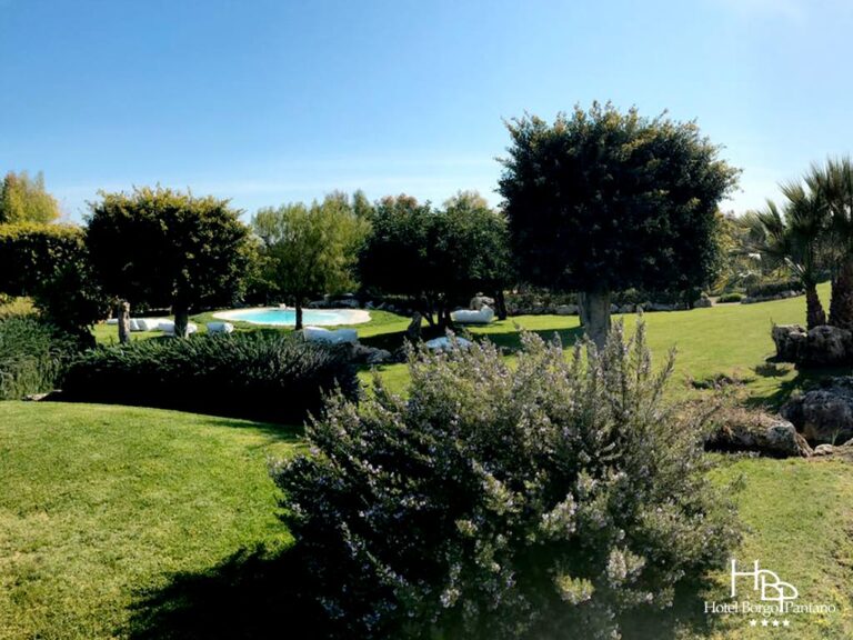 biopiscina 03 hbp 768x576