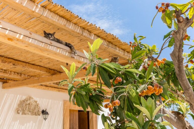 AuthenticSicilianCharm 35 768x512