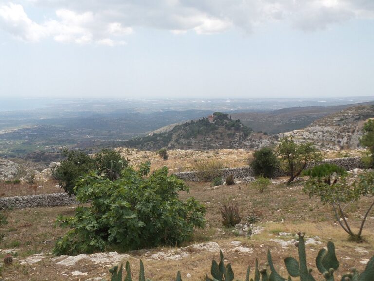 avola antica 7 768x576