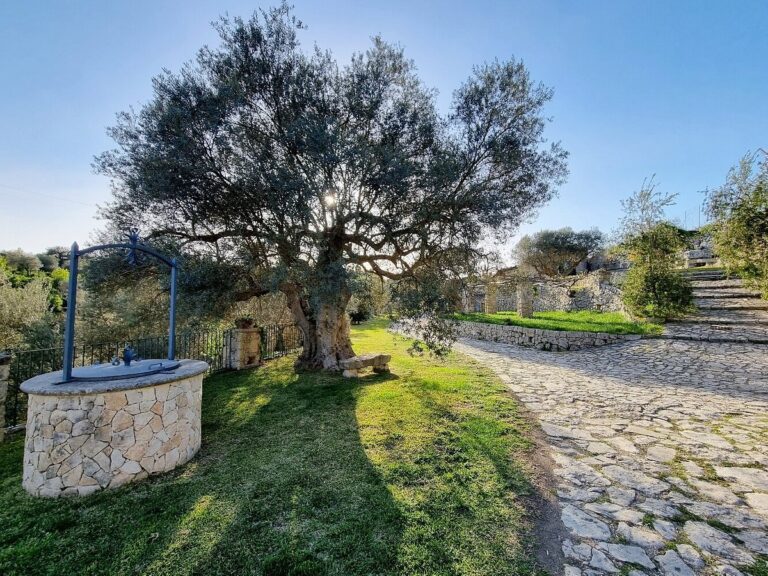 domushyblaea 20 768x576