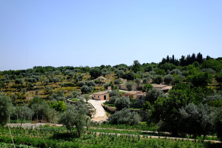 domushyblaea 23 768x512