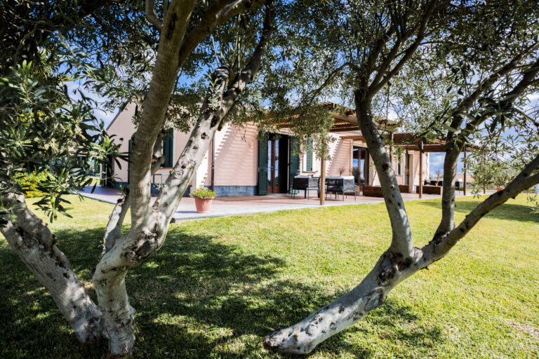 domushyblaea 25 768x512