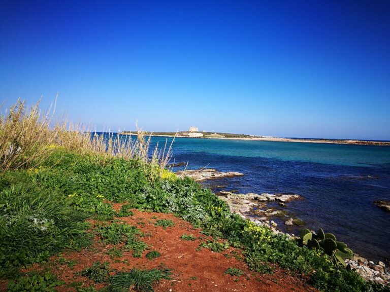 la splendida veduta 1 768x576