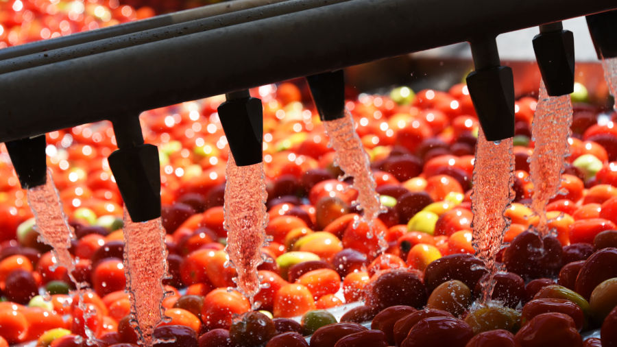 Investimenti nella filiera agroalimentare in Campania