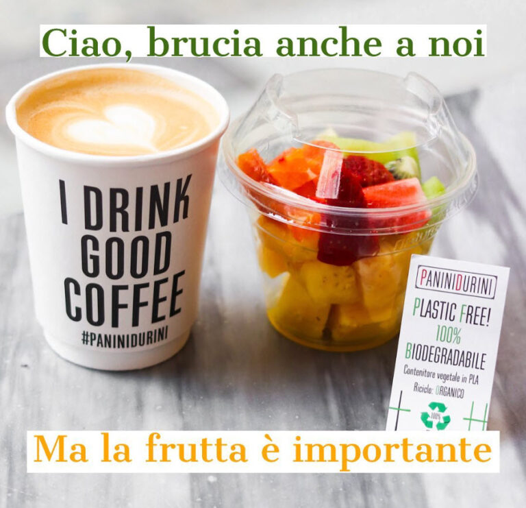 paninidurini 7 768x741