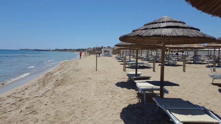 20160607 123938 largejpg 1 768x432