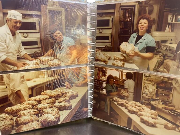 PasticceriaPuccinelli 1 768x576