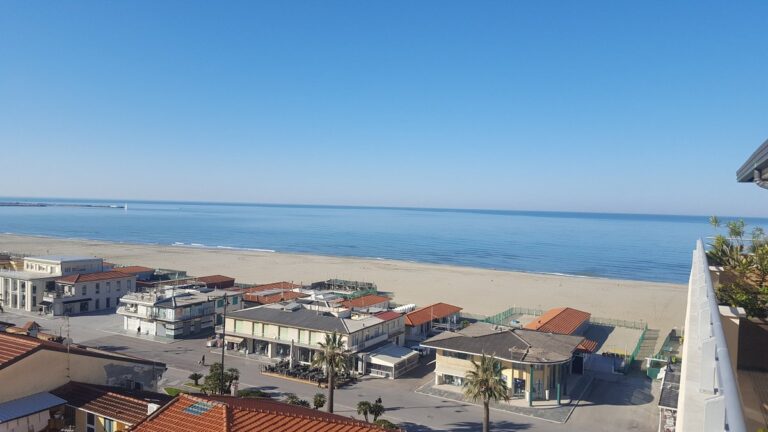 SinaAstor 13 768x432