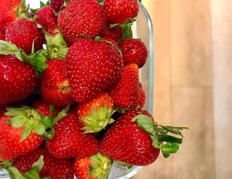 adoro i piaceri semplici 1 768x594