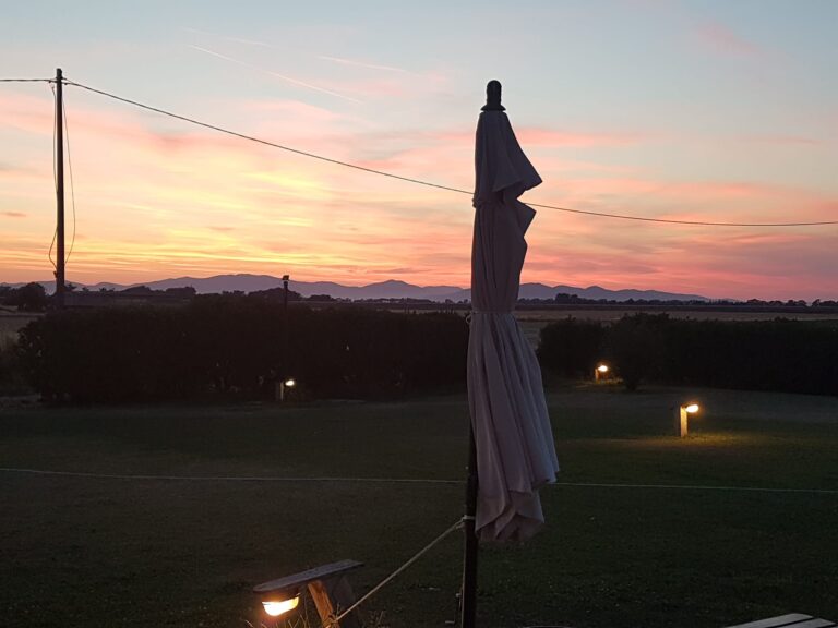 agriturismopoderecirene 1 768x576