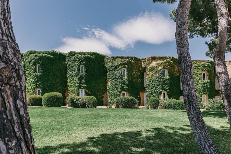 brucoliresort 768x513