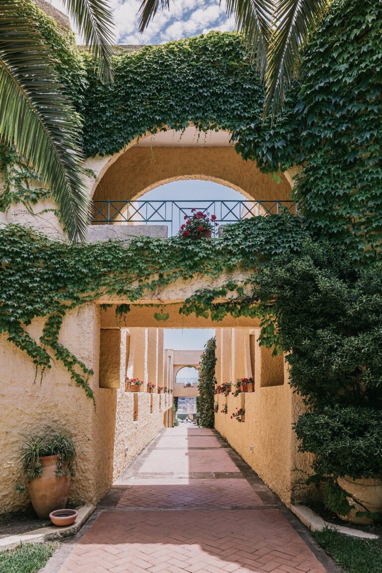 brucoliresort 9 768x1152