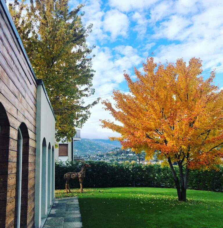 hoteldianajardin 30 768x783