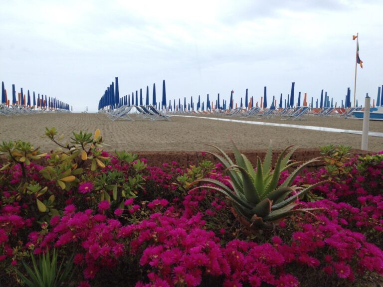 hoteltirrenia 13 768x576