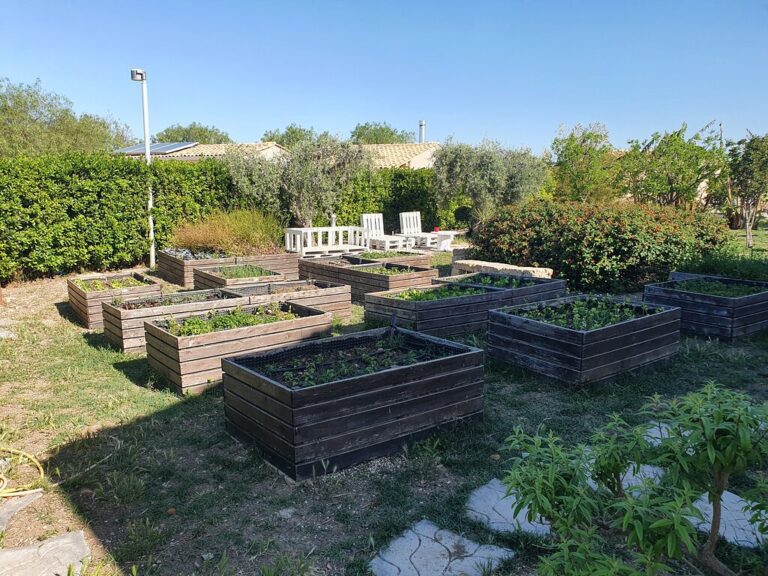 le zagare di vendicari 3 768x576