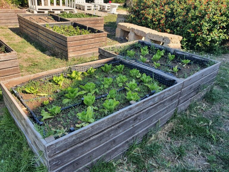 le zagare di vendicari 4 768x576