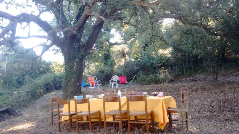 lo spazio dove si fa 1 768x432