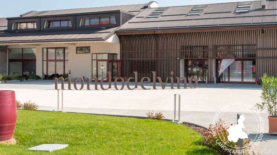 Agroindustria: 23 milioni per azienda MGM Mondo del Vino