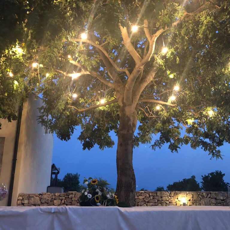 pantanellidivendicari 10 768x768