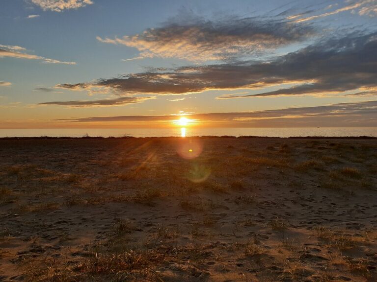 pasticceria puccinelli 4 768x576