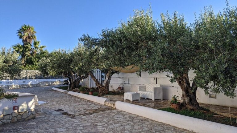 signorinoresort 25 768x432