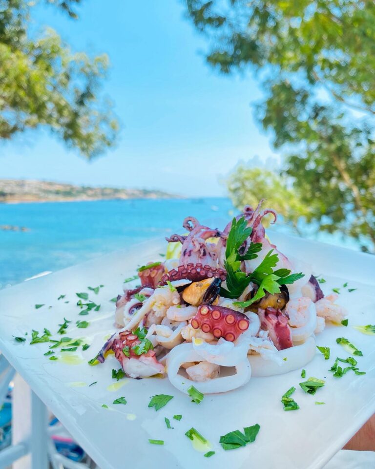 tonnaradelplemmirio 768x960