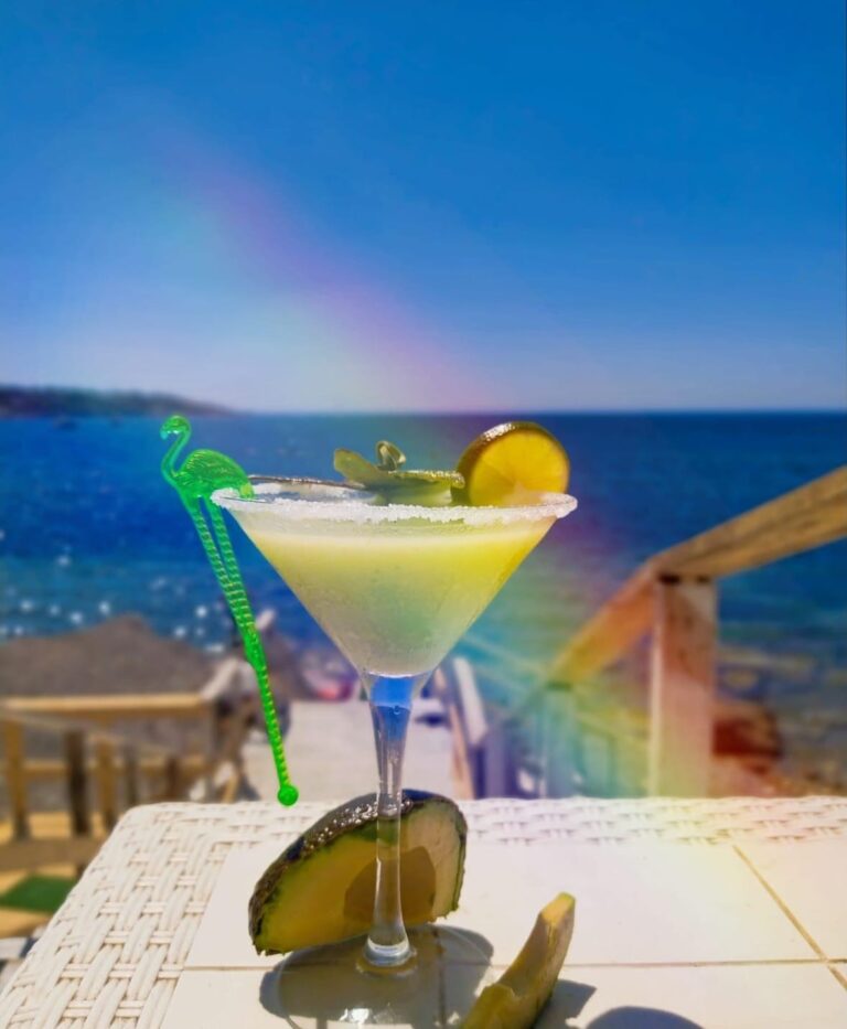 tonnaradelplemmirio 17 768x933