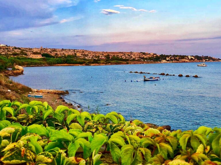 tonnaradelplemmirio 20 768x576