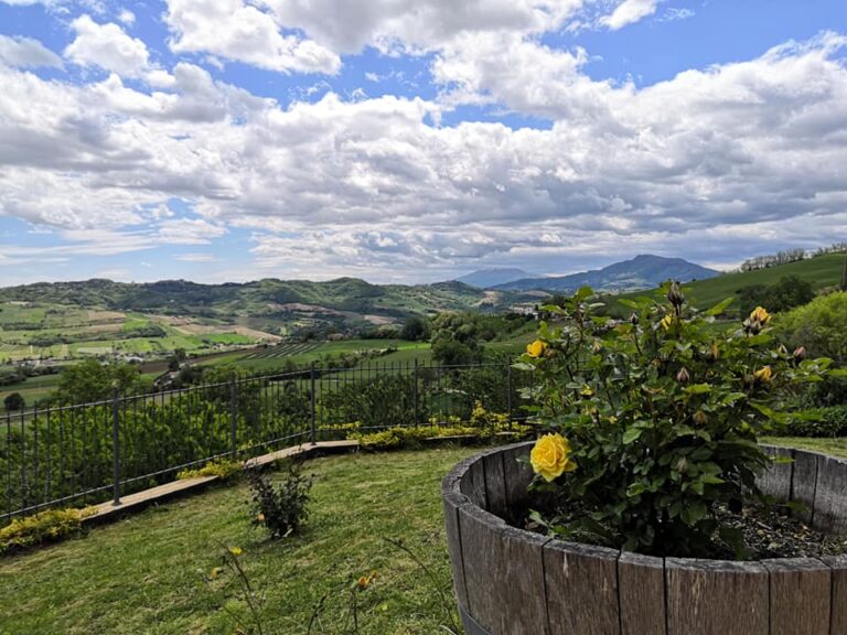 villageminiani 8 768x576