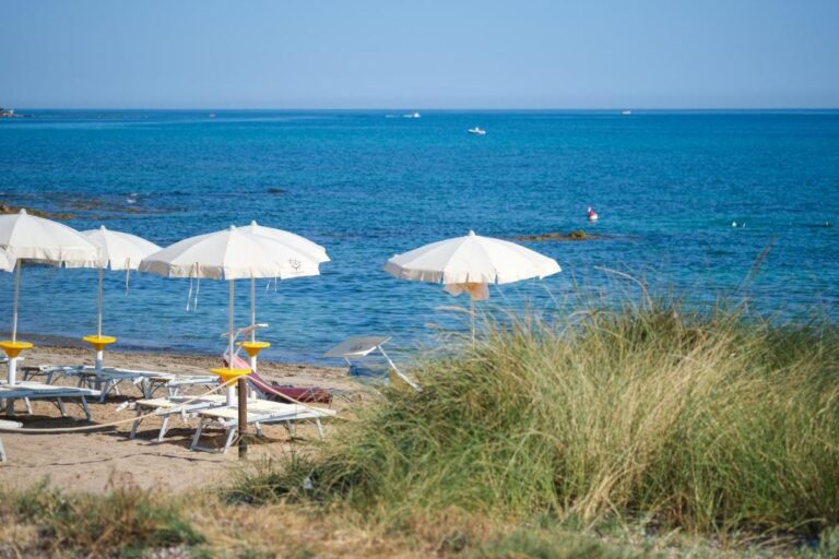 TorreQuacitoOasisEmotions 18 768x512