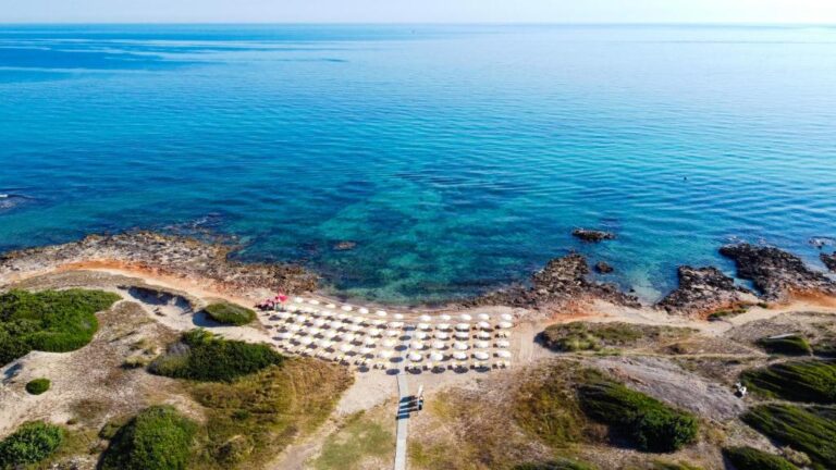 TorreQuacitoOasisEmotions 3 768x432