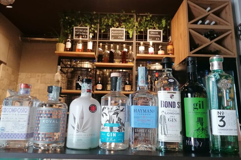 che gin hai ecco la nostra 1 768x509