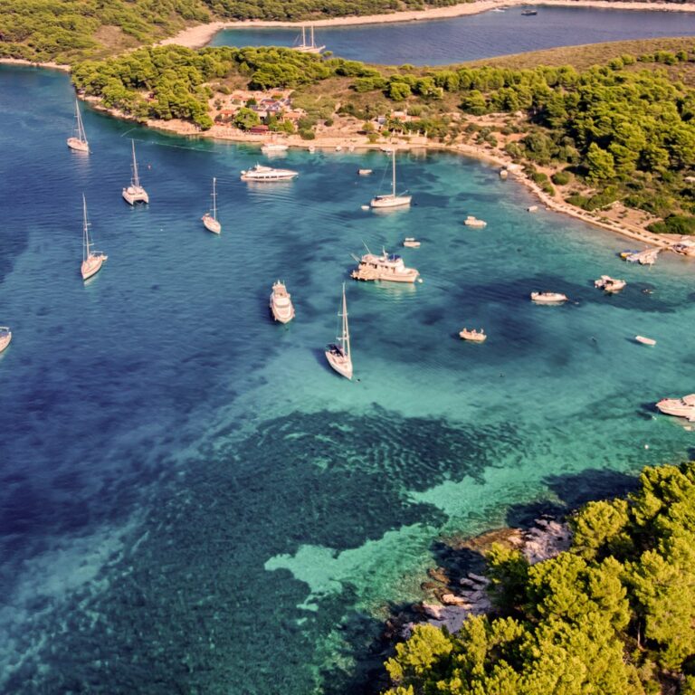 default avatar 2020 32 1 768x768