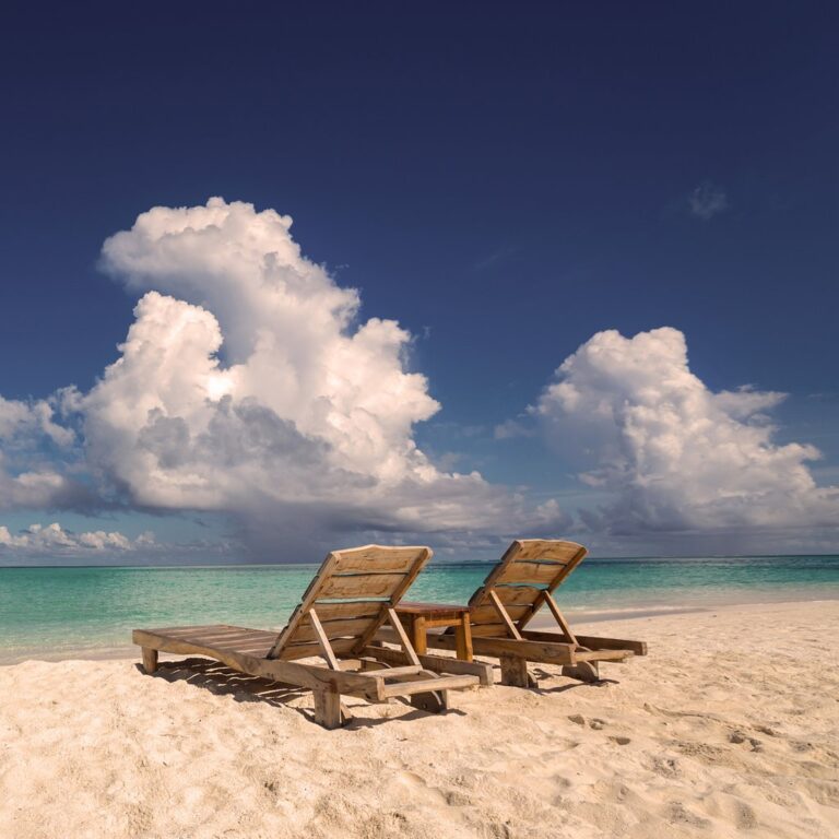 default avatar 2020 41 1 768x768