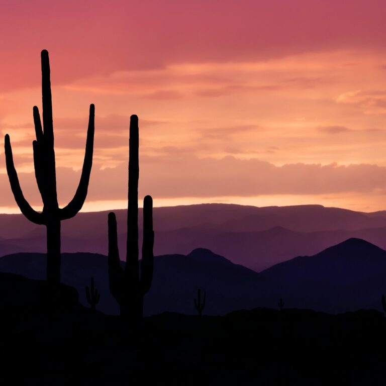 default avatar 2020 66 1 768x768