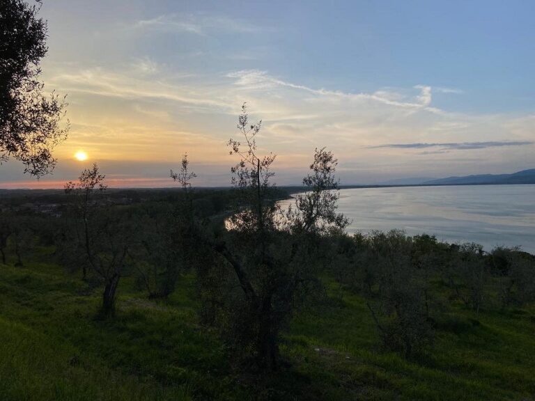 hotelboutiquecastiglione 1 768x576