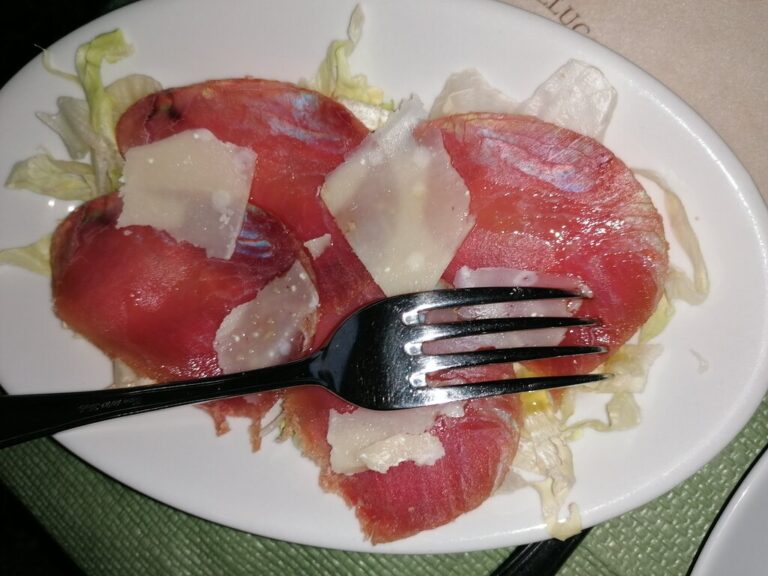 il cavalluccio marino 1 768x576