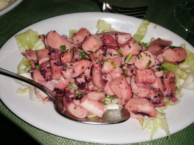 il cavalluccio marino 3 768x576