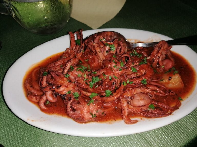 il cavalluccio marino 4 768x576