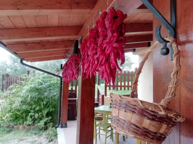 lechaletdelpollino 8 768x576