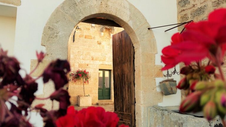 particolare strutturale 1 768x432