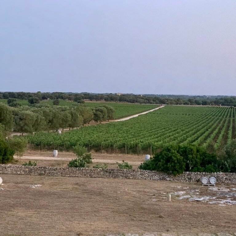 photo0jpg 10 768x768