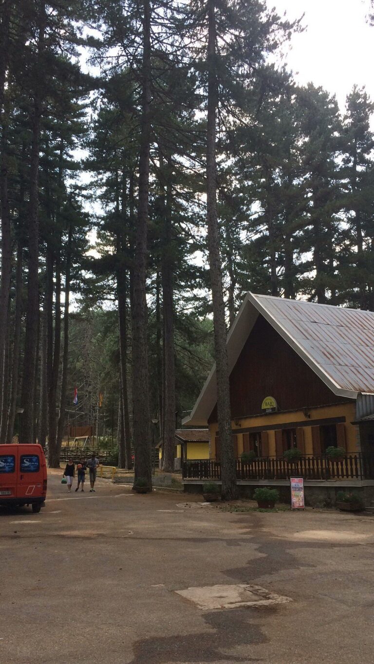 CampingLagoArvo 7 768x1365