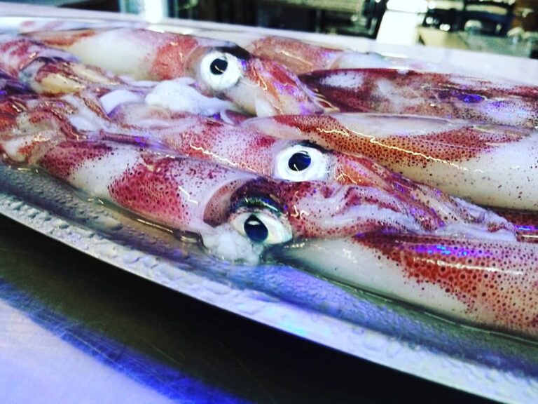 calamari freschi locali 1 768x576