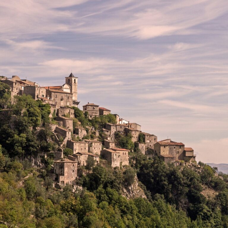 default avatar 2020 15 1 768x768